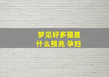 梦见好多猫是什么预兆 孕妇